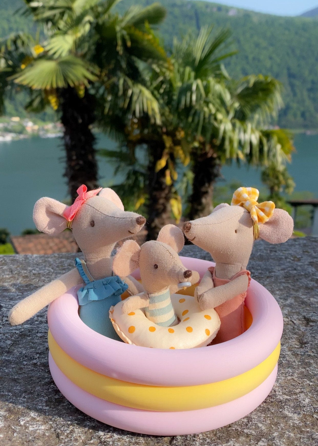 Miniature swimming pool round