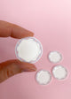 Miniature plates roses