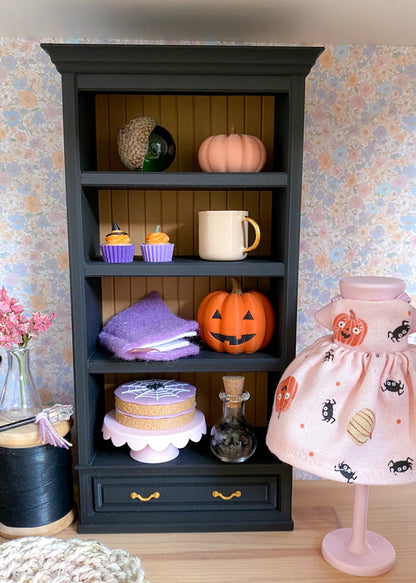Miniature bookcase