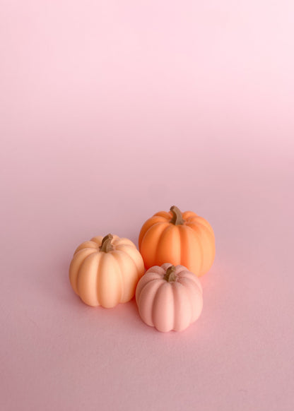 Miniatuur pompoenen oranje, licht oranje, roze