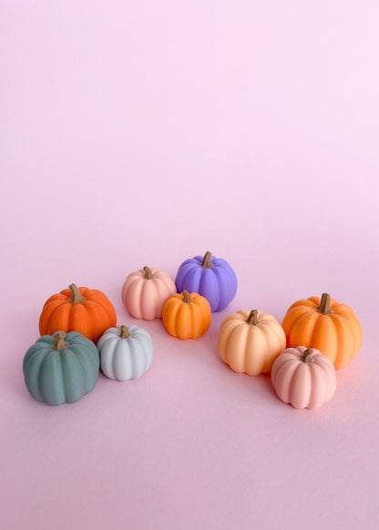 Miniatuur pompoenen diverse kleuren
