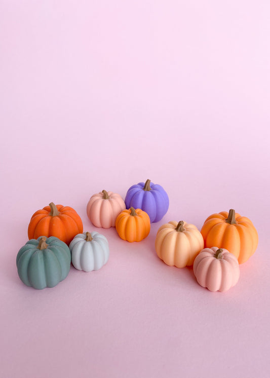 Miniatuur pompoenen diverse kleuren